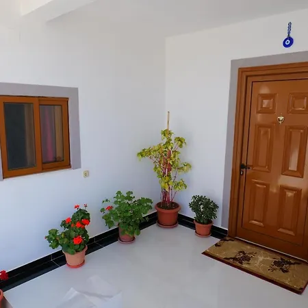 Xhafa 3* クサミル